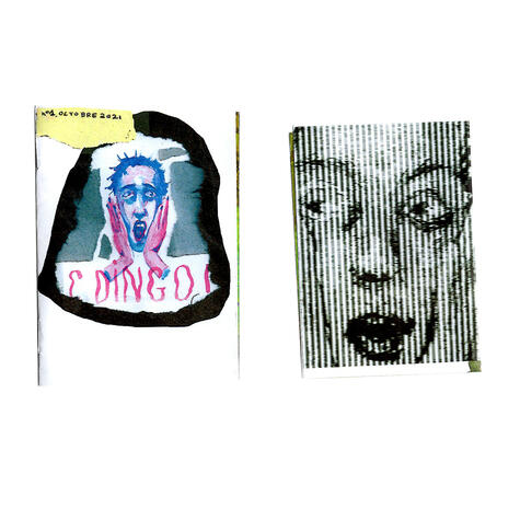 C dingo, couverture et quatrième de couverture du zine